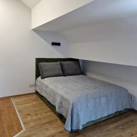 Studija Vanagupes 13 아파트 *