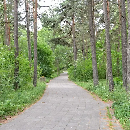 Studija Vanagupes 13 *