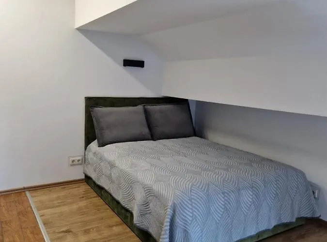 Studija Vanagupes 13 アパート *