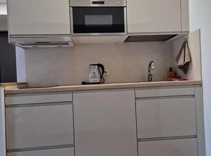 Studija Vanagupes 13 パランガ