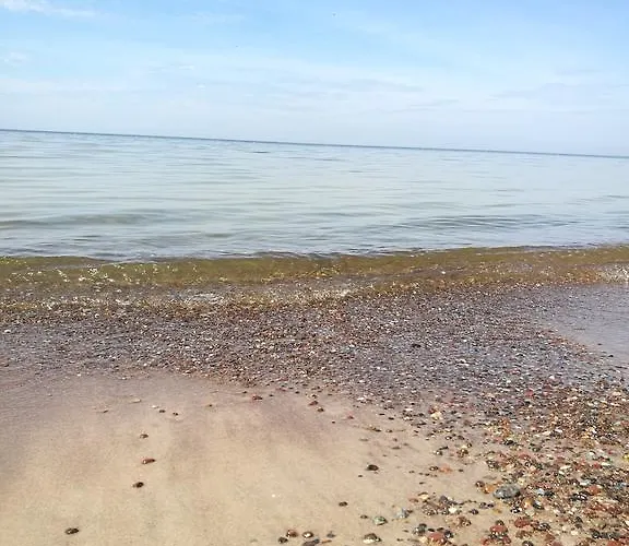 Studija Vanagupes 13